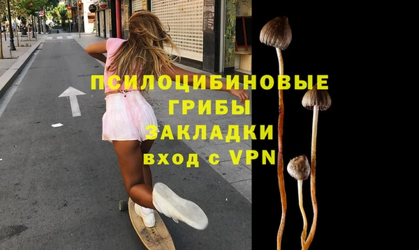 МДМА Богданович