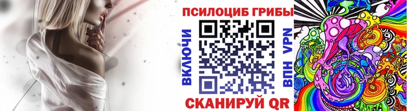 закладки  Реж  Псилоцибиновые грибы прущие грибы 
