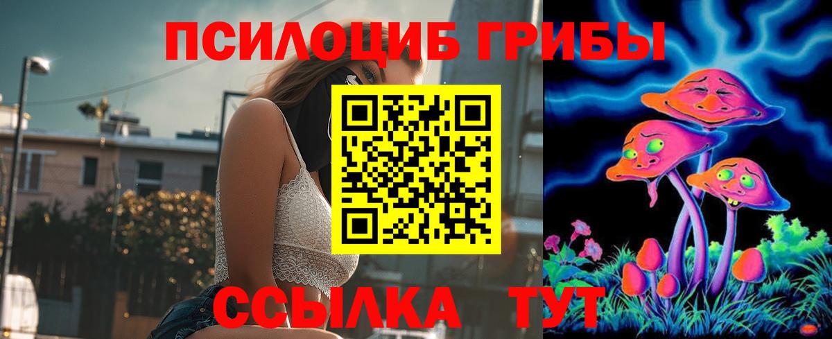 Реж  Псилоцибиновые грибы мицелий  Вход с VPN  Галлюциногенные грибы GOLDEN TEACHER 